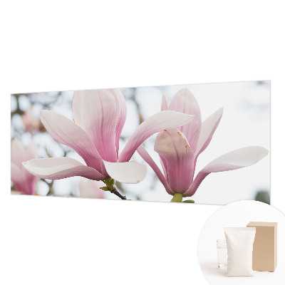 Fototapeta s tiskom s motivom cvjetova magnolije