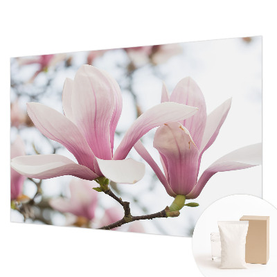 Fototapeta s tiskom s motivom cvjetova magnolije