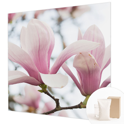 Fototapeta s tiskom s motivom cvjetova magnolije