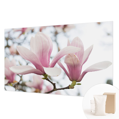 Fototapeta s tiskom s motivom cvjetova magnolije