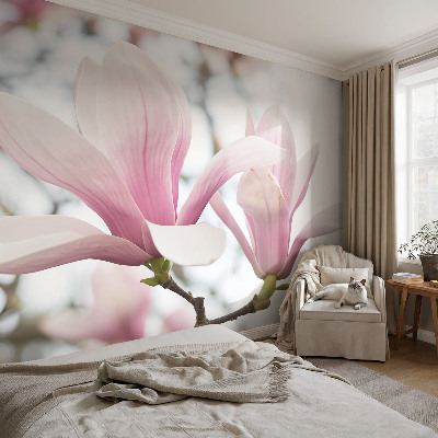 Fototapeta s tiskom s motivom cvjetova magnolije