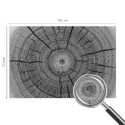 Fototapeta s tiskom Šumska harmonija