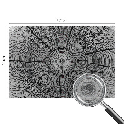Fototapeta s tiskom Šumska harmonija