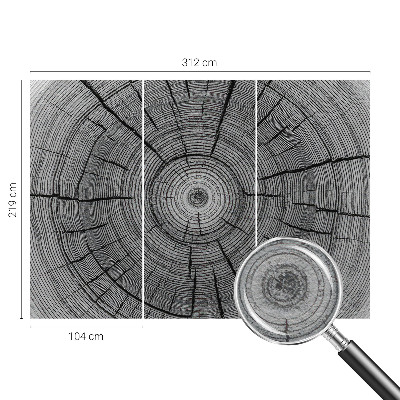 Fototapeta s tiskom Šumska harmonija