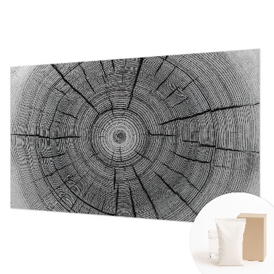 Fototapeta s tiskom Šumska harmonija