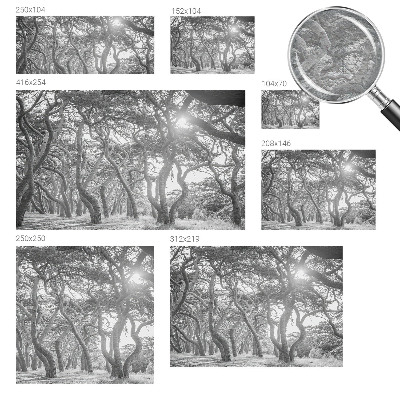 Visokokvalitetna fototapeta Atmosferska šuma