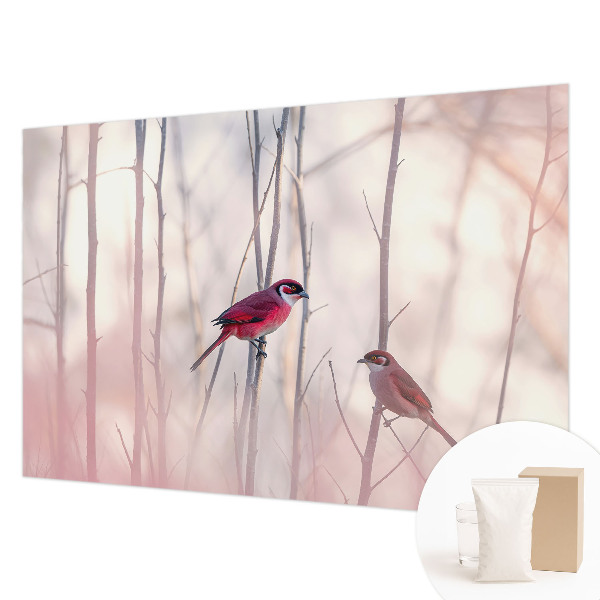 Foto tapeta za spavaću sobu s motivom para ptica