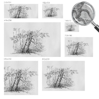 Premium fototapeta Šumsko drvo