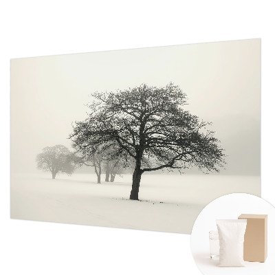Vlies fototapeta Zimsko drveće
