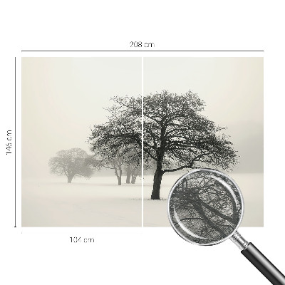Vlies fototapeta Zimsko drveće