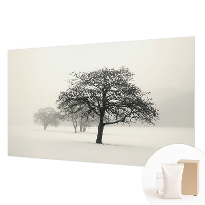Vlies fototapeta Zimsko drveće