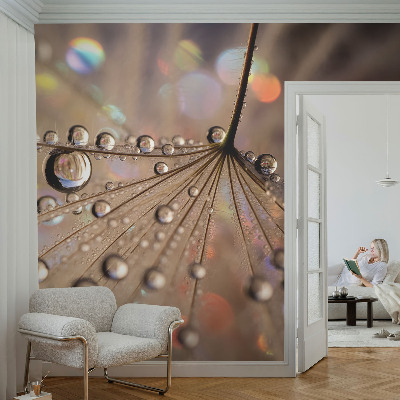 Foto tapeta za spavaću sobu s motivom bisernih kapi