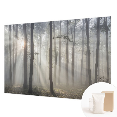 Zidna dekoracija fototapeta s motivom eterične šume