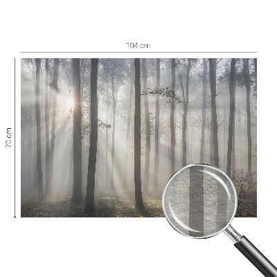 Zidna dekoracija fototapeta s motivom eterične šume