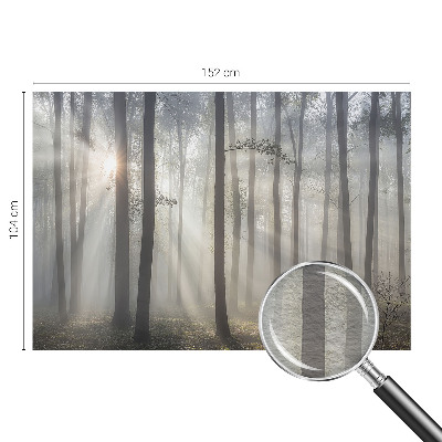 Zidna dekoracija fototapeta s motivom eterične šume