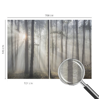 Zidna dekoracija fototapeta s motivom eterične šume