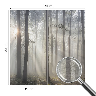 Zidna dekoracija fototapeta s motivom eterične šume