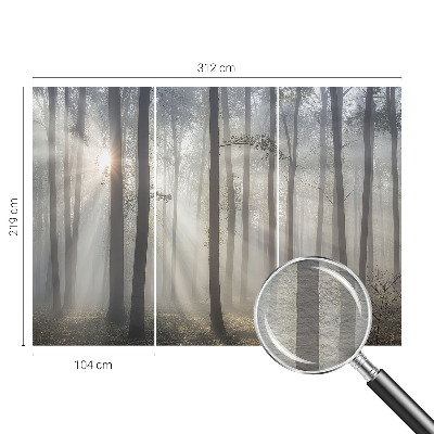 Zidna dekoracija fototapeta s motivom eterične šume
