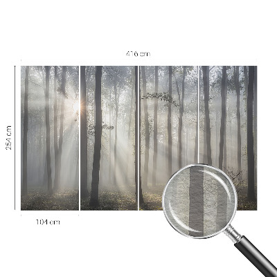 Zidna dekoracija fototapeta s motivom eterične šume
