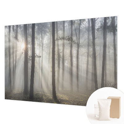 Zidna dekoracija fototapeta s motivom eterične šume
