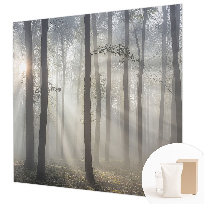 Zidna dekoracija fototapeta s motivom eterične šume