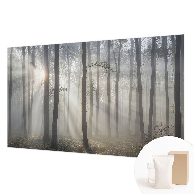 Zidna dekoracija fototapeta s motivom eterične šume