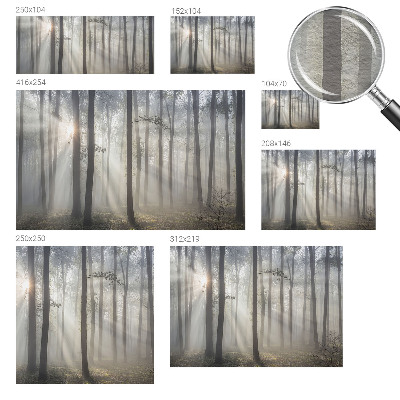 Zidna dekoracija fototapeta s motivom eterične šume