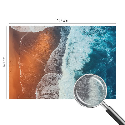 Flis fototapeta Morska simbioza