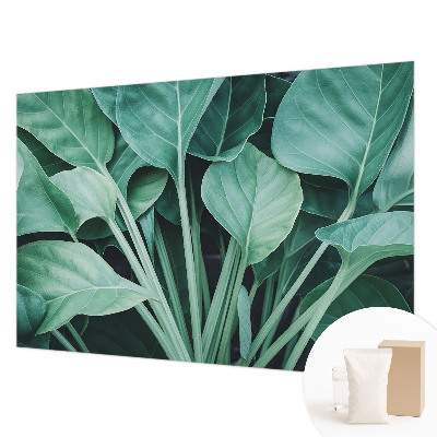 Premium fototapeta s motivom zelene prirode