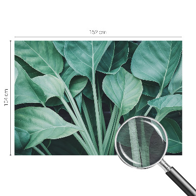 Premium fototapeta s motivom zelene prirode