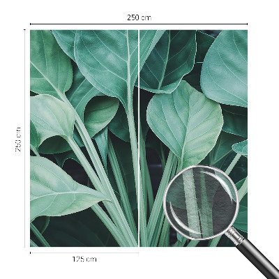 Premium fototapeta s motivom zelene prirode