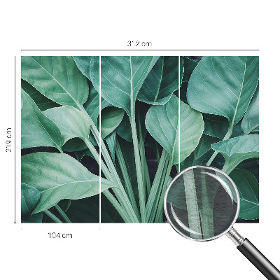 Premium fototapeta s motivom zelene prirode