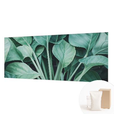 Premium fototapeta s motivom zelene prirode