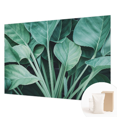 Premium fototapeta s motivom zelene prirode