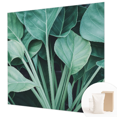 Premium fototapeta s motivom zelene prirode