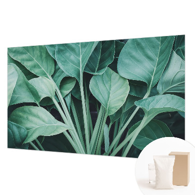 Premium fototapeta s motivom zelene prirode