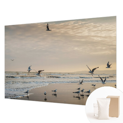 Zidna dekoracija fototapeta s motivom mirnog prizora uz more