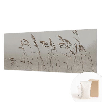 Fototapeta po mjeri s motivom trava u magli