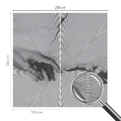 Zidna fototapeta s motivom hipnotičkih ruku
