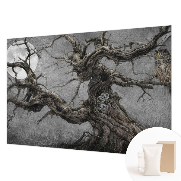 Fototapeta po mjeri s motivom tajanstvene sove