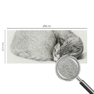 Fototapeta za dnevni boravak Sklupčana mačka