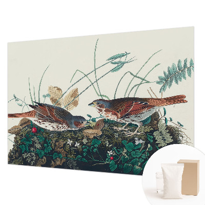 Premium fototapeta Šarm prirode