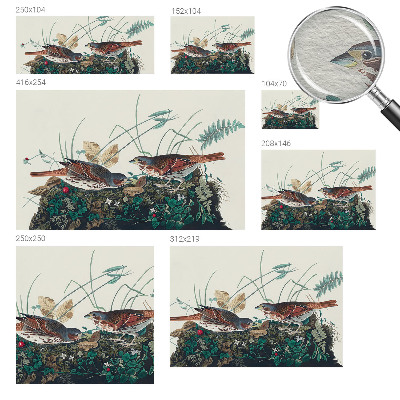 Premium fototapeta Šarm prirode