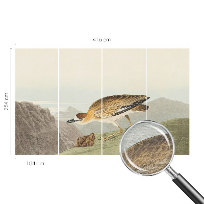 Visokokvalitetna fototapeta s motivom planinske ptice
