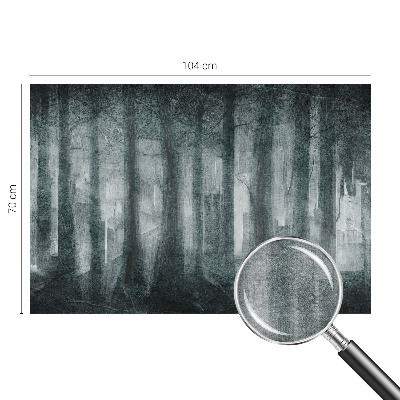 Fototapeta za zid s motivom tajanstvene šume
