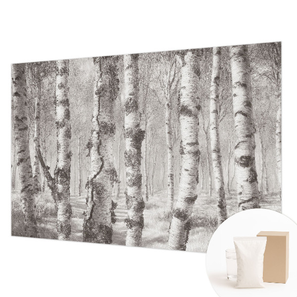 Premium fototapeta s motivom brezove šume