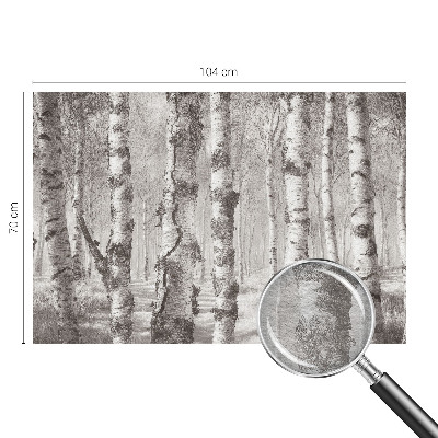 Premium fototapeta s motivom brezove šume