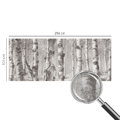 Premium fototapeta s motivom brezove šume