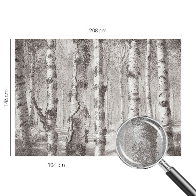 Premium fototapeta s motivom brezove šume