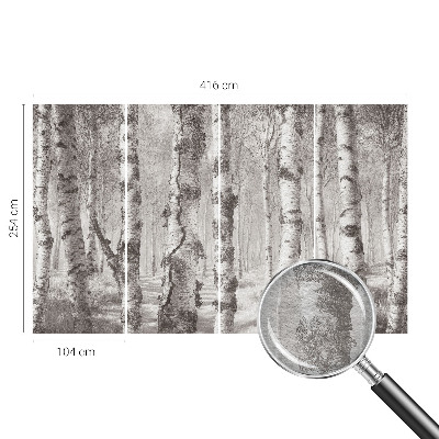Premium fototapeta s motivom brezove šume